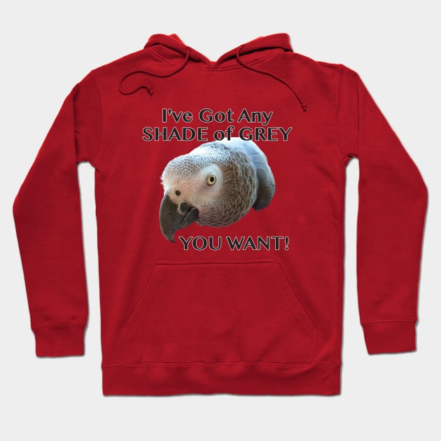 Any Shade of Grey - African Grey Parrot Hoodie by Einstein Parrot